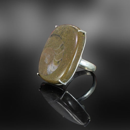 Ammonite Gemstone 92.5 Sterling Silver Ring