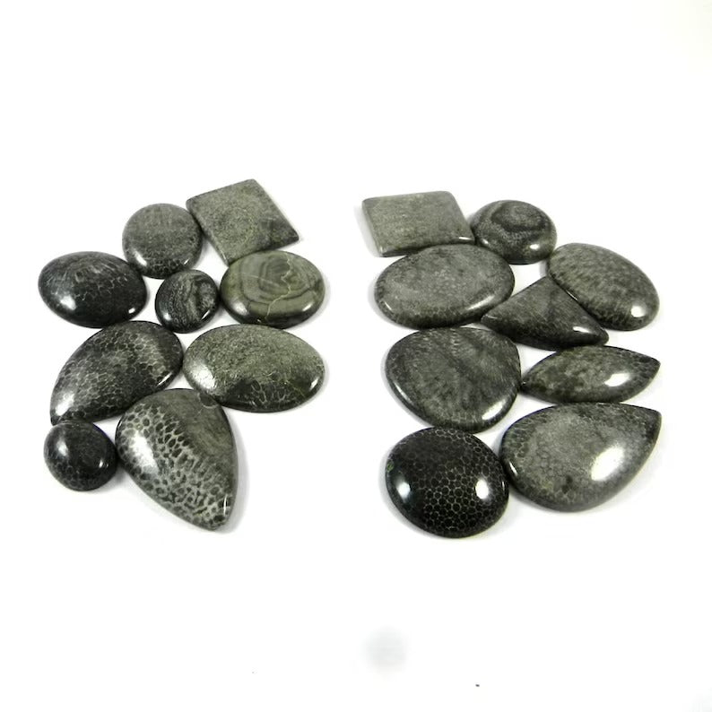 Natural Black Coral Gemstone Wholesale Lot