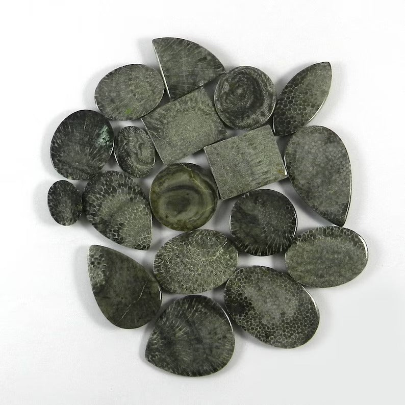 Natural Black Coral Gemstone Wholesale Lot