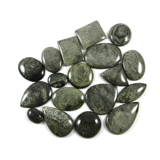 Natural Black Coral Gemstone Wholesale Lot