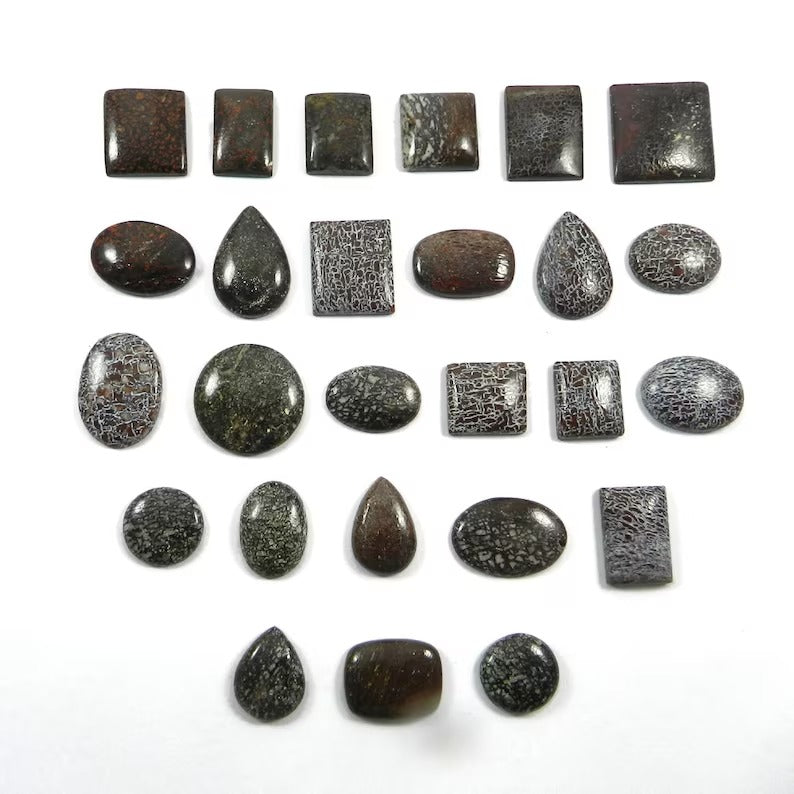 Natural Dinosaur Bone Freeform Cabochon Gemstone Wholesale Lot