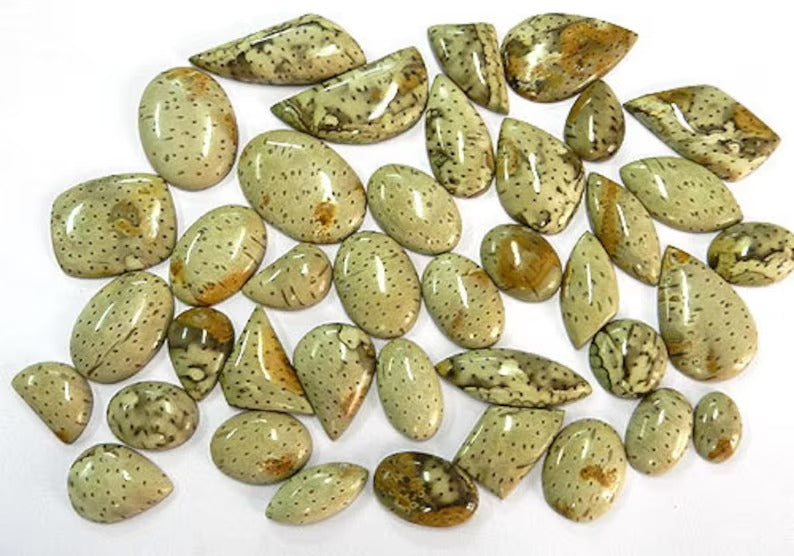 Natural Palm Wood Jasper Gemstone Wholesale Lot