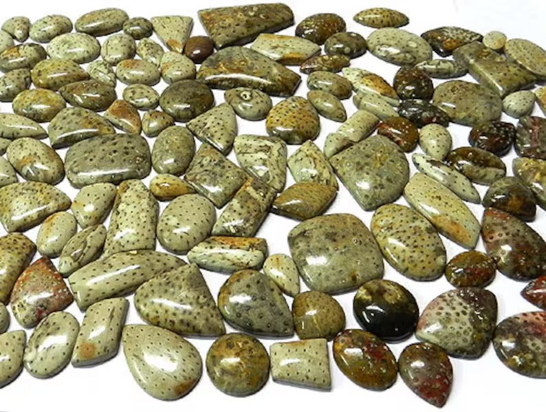 Natural Palm Wood Jasper Gemstone Wholesale Lot