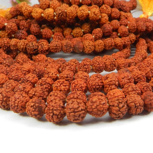 5 Mukhi Rudraksha, 109 Rudraksha Japa, Mala Hand Knotted