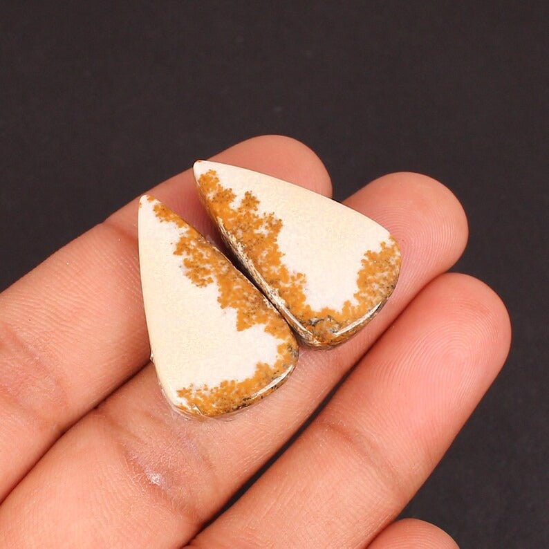 Picture Jasper Cabochon, Designer Matched Jasper Pair Gemstone