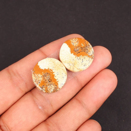 20 MM Round Cabochon Gemstone, Designe Picture Jasper Pair