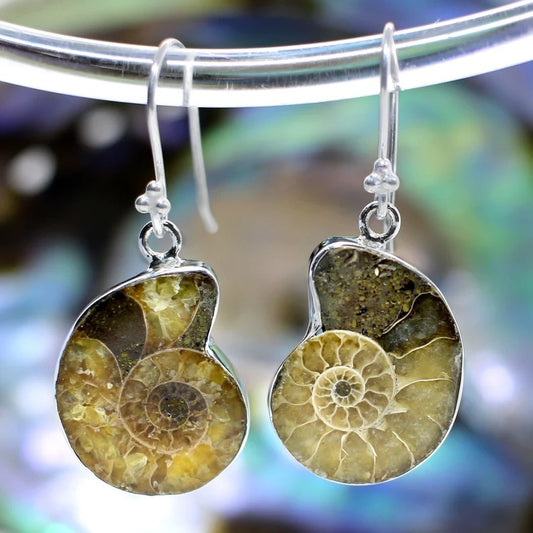 Ammonite Fossil Jasper Dangle 92.5 Sterling Silver Earrings