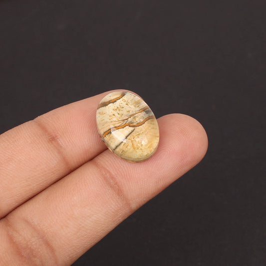 2 Pcs Natural Picture Jasper + Crystal Gemstone